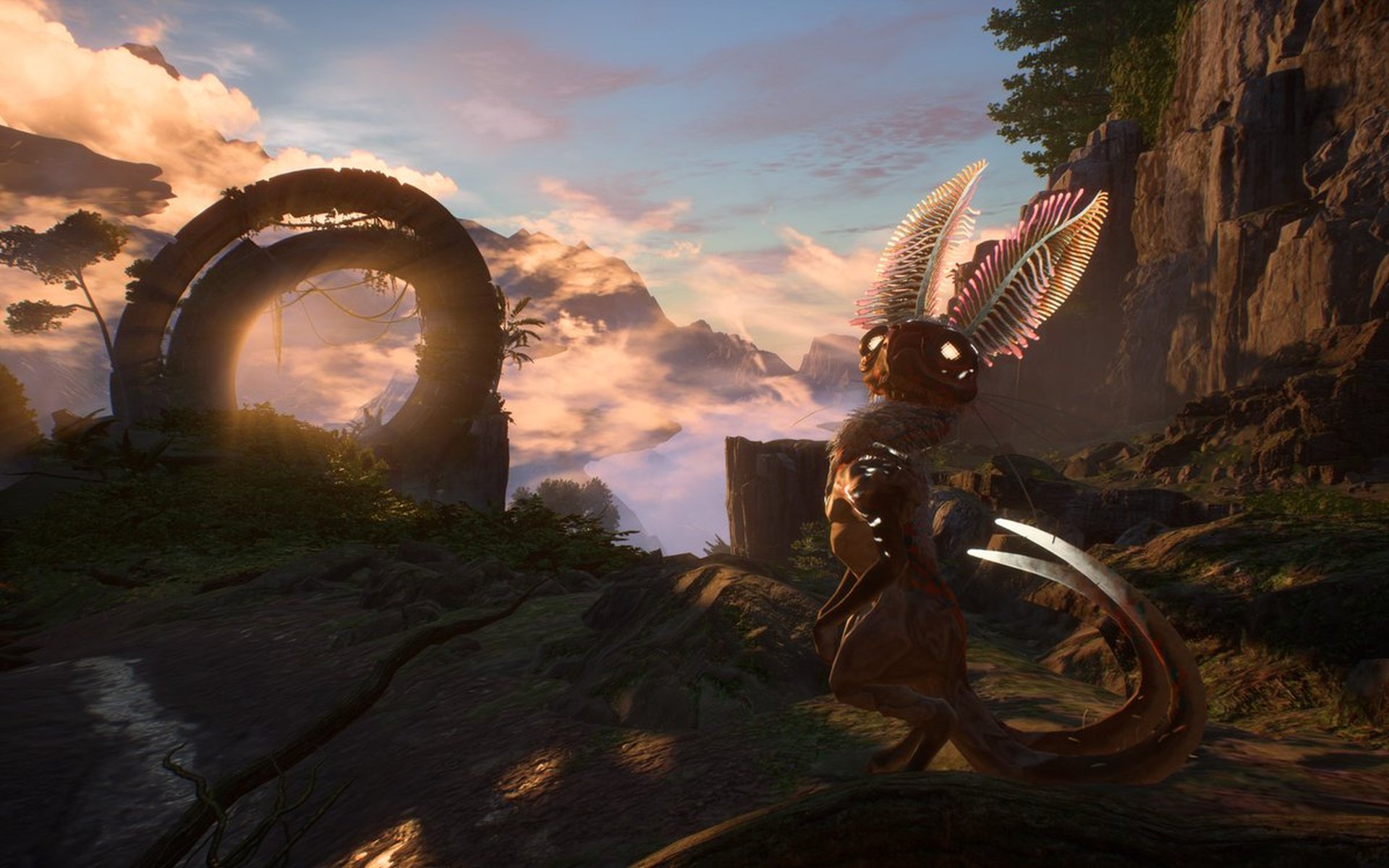 當您期待時會發生什麼(Anthem 演示)